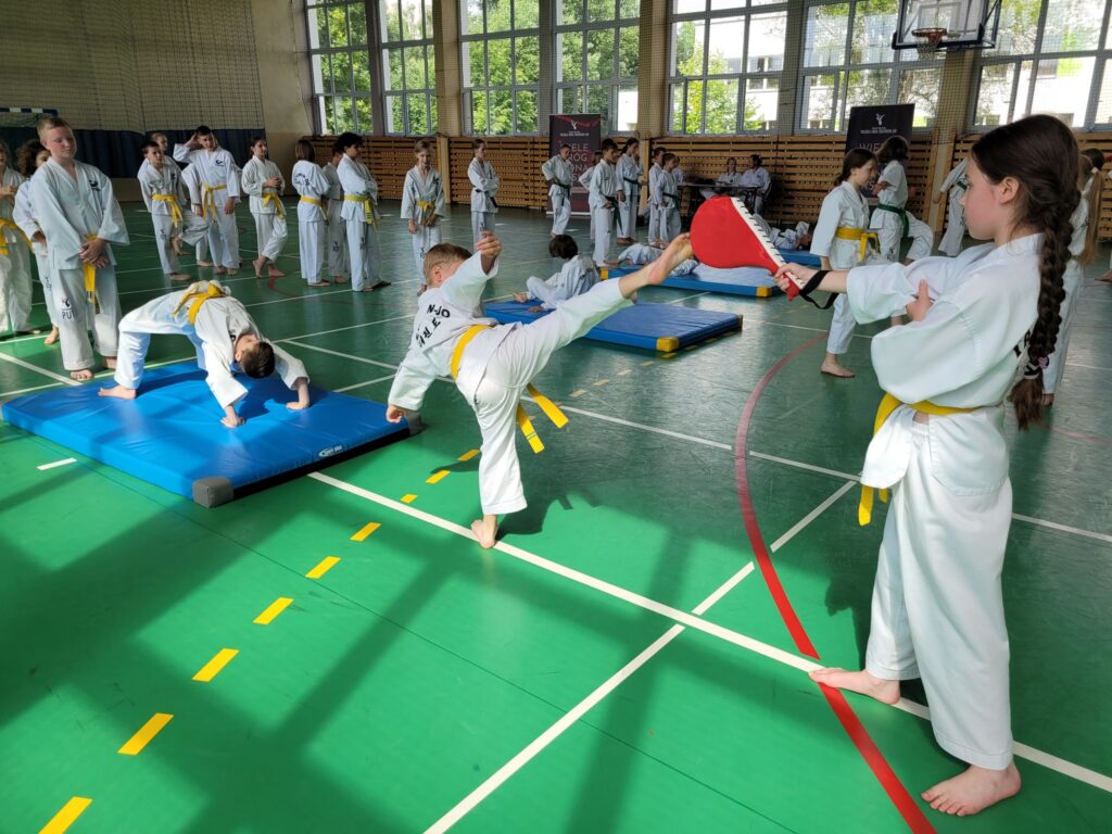 Polska Unia Taekwon Do Zwi Zek Sportowy